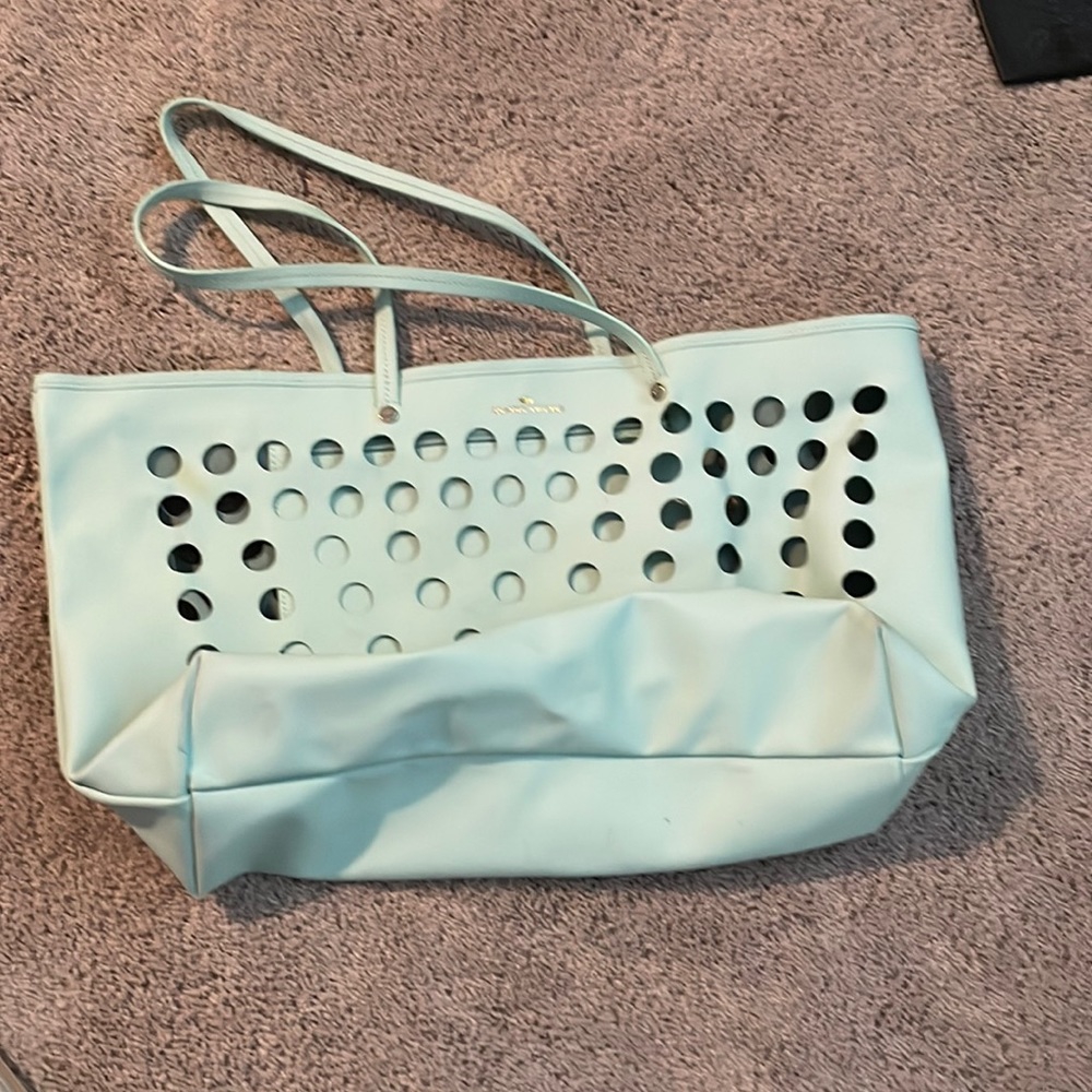 Elaine turner bag mint green! Never used!